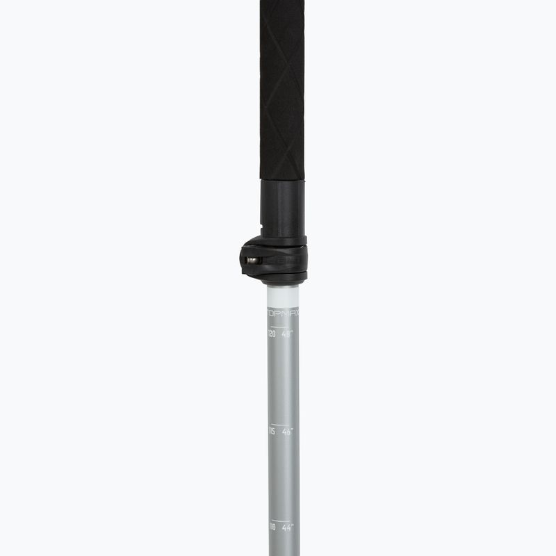 Kije trekkingowe LEKI Makalu FX TA silver/greygreen/white 4