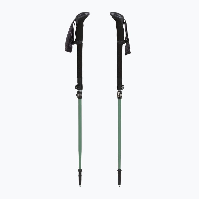 Kije trekkingowe LEKI Makalu FX TA silver/greygreen/white 5
