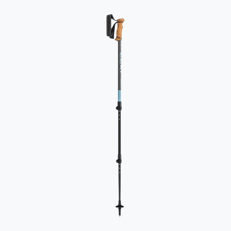 Kije trekkingowe LEKI Legacy greyblue/dark anthracite 2