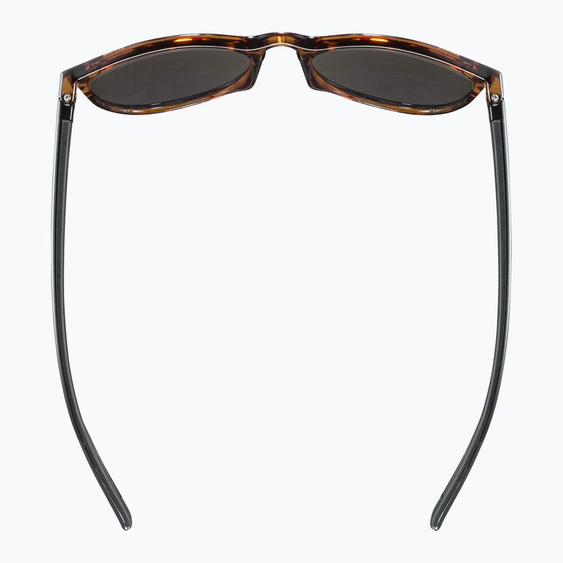 Okulary przeciwsłoneczne UVEX Lgl 43 havanna black/mirror green 4