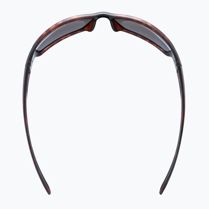 Okulary przeciwsłoneczne UVEX Sportstyle 230 havanna matt/litemirror silver 9