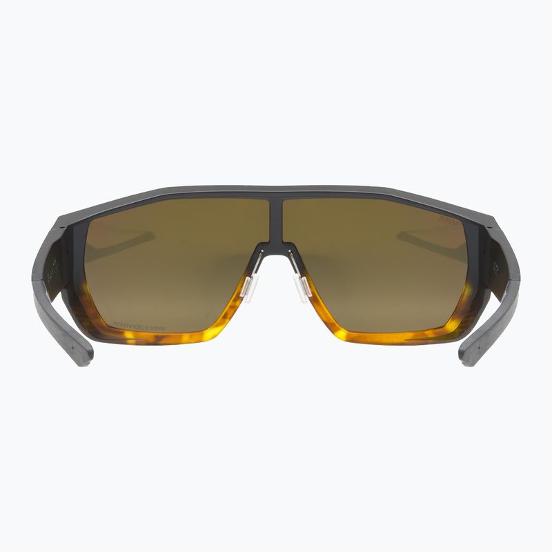 Okulary przeciwsłoneczne UVEX Mtn Style CV havanna matt fade/mirror champagne 3