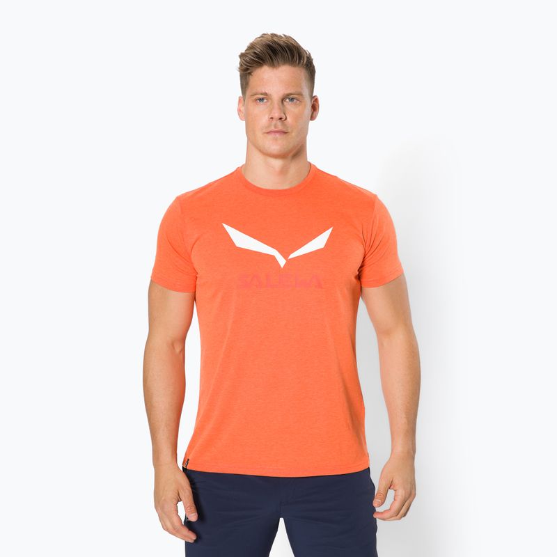 Koszulka męska Salewa Solidlogo Dry red/orange melange