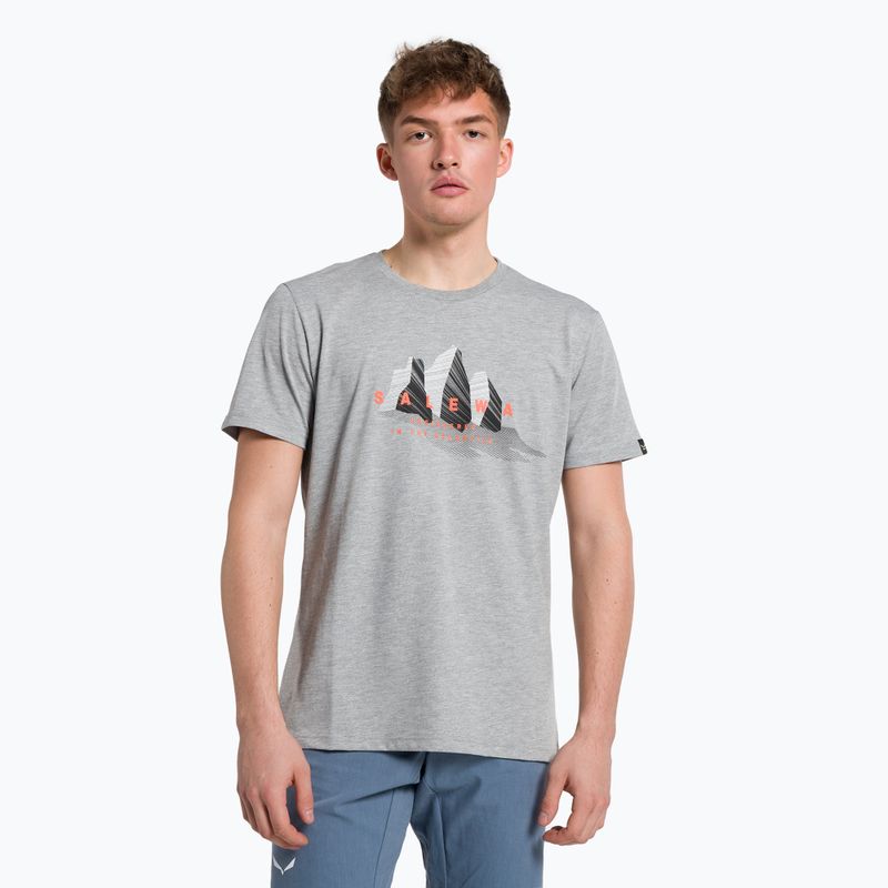 Koszulka trekkingowa męska Salewa Lines Graphic Dry heather grey