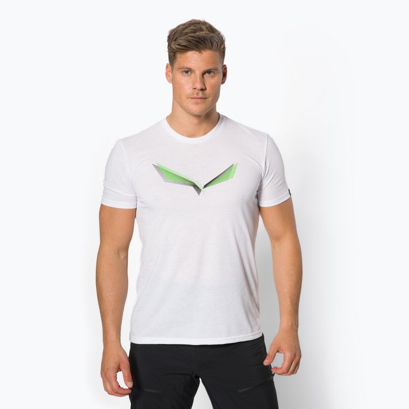 Koszulka trekkingowa męska Salewa Lines Graphic Dry optical white