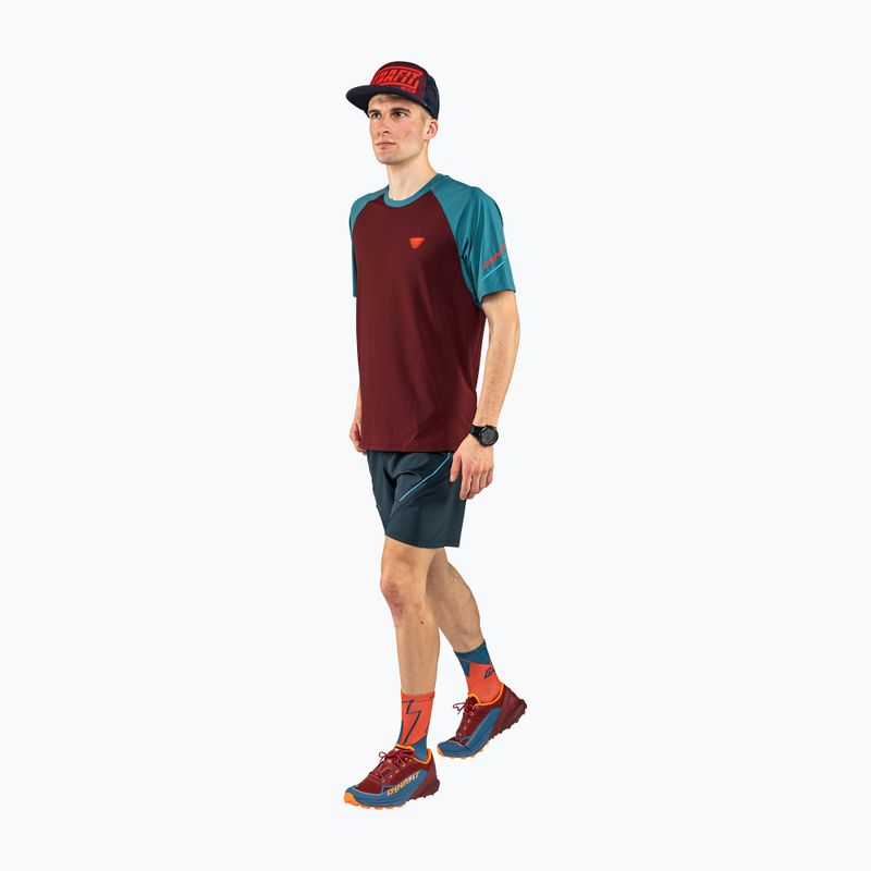 Koszulka do biegania męska DYNAFIT Alpine Pro syrah