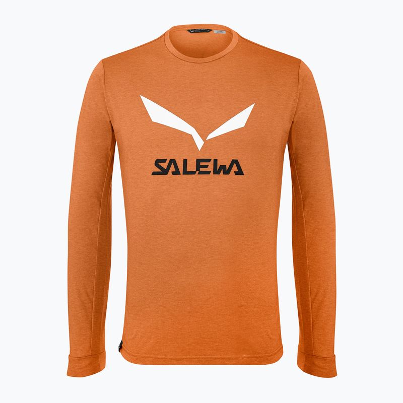 Longsleeve trekkingowy męski Salewa Solidlogo Dry autumnal melange 4