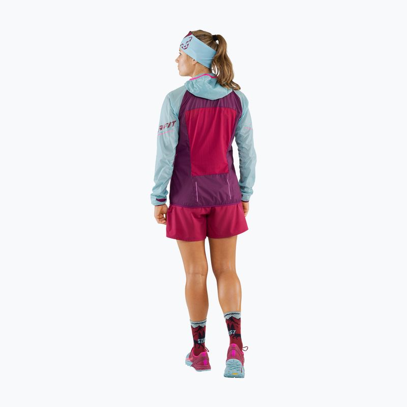 Kurtka do biegania damska DYNAFIT Alpine Wind 2 marine blue/beet red 2