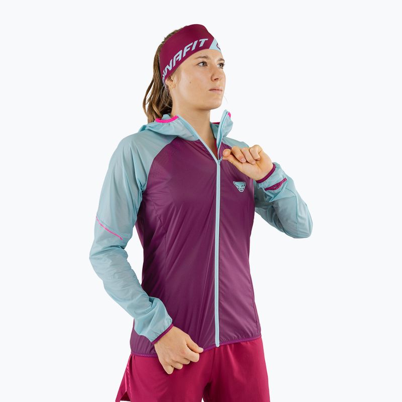 Kurtka do biegania damska DYNAFIT Alpine Wind 2 marine blue/beet red 3