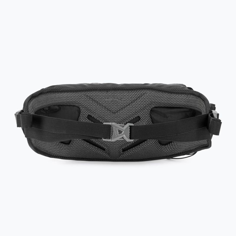 Saszetka nerka Salewa Lite Train Hipbelt black 3