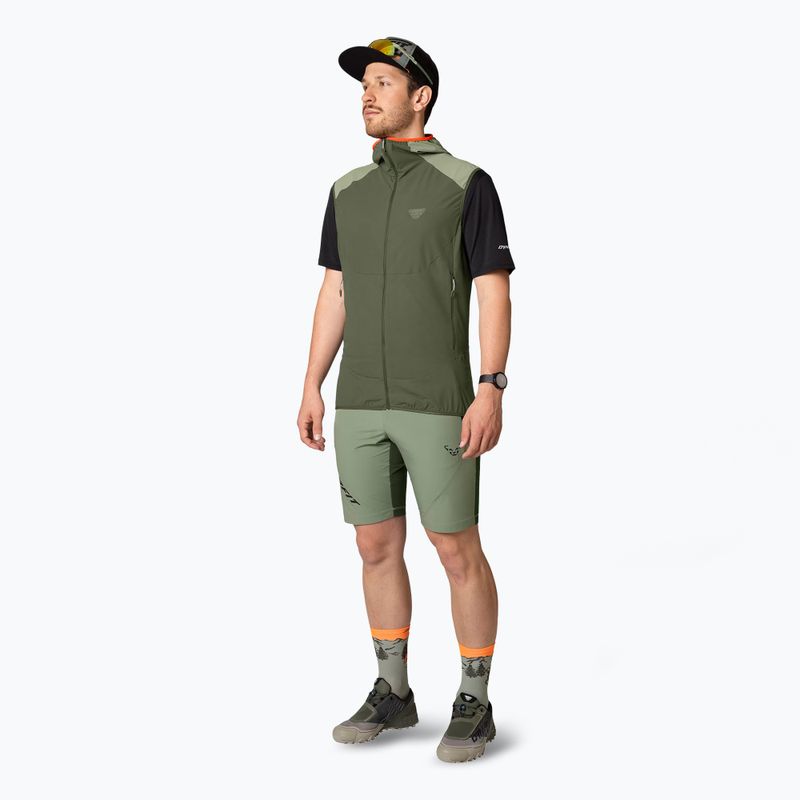 Spodenki trekkingowe męskie DYNAFIT Transalper Light Dynastretch sage 2