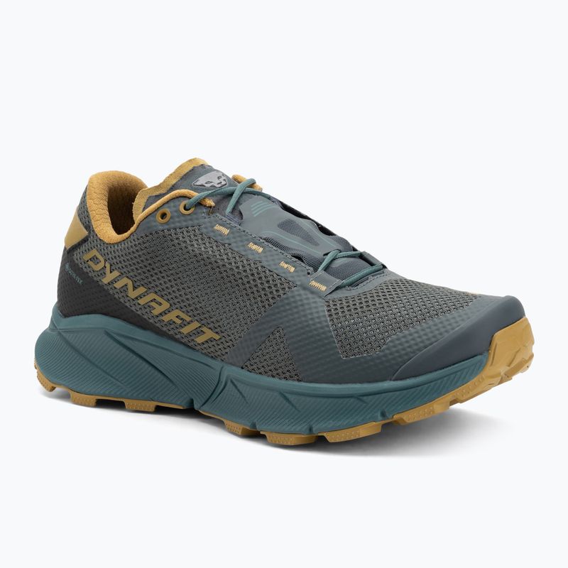 Buty do biegania męskie DYNAFIT Ultra 100 GTX lichen/alantic