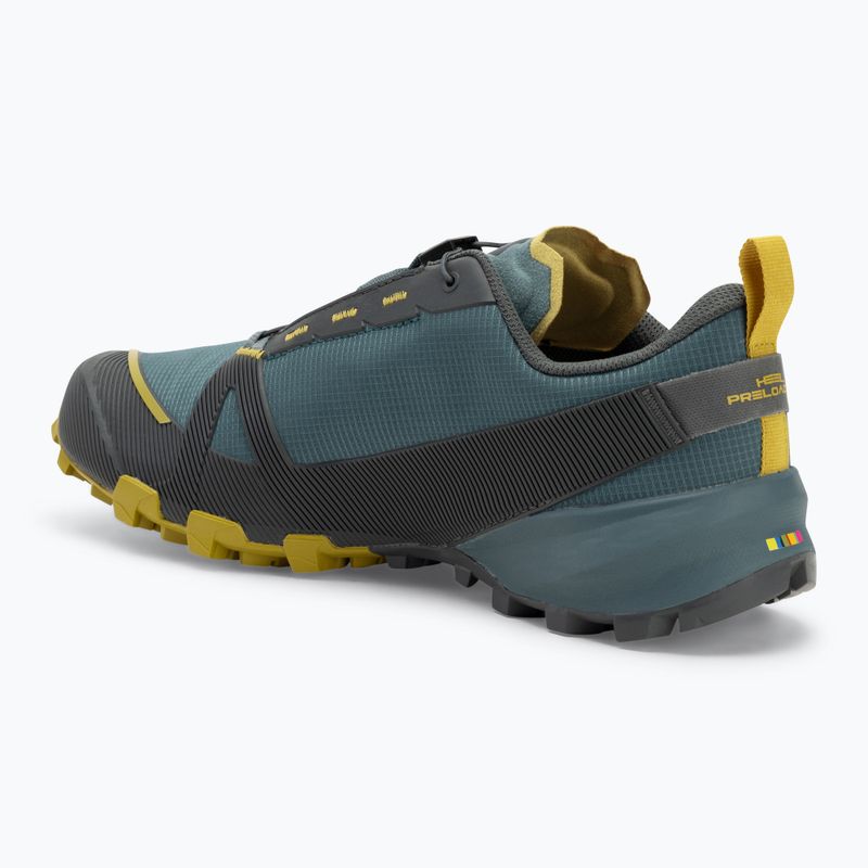 Buty do biegania męskie DYNAFIT Traverse GTX lichen/atlantic 3