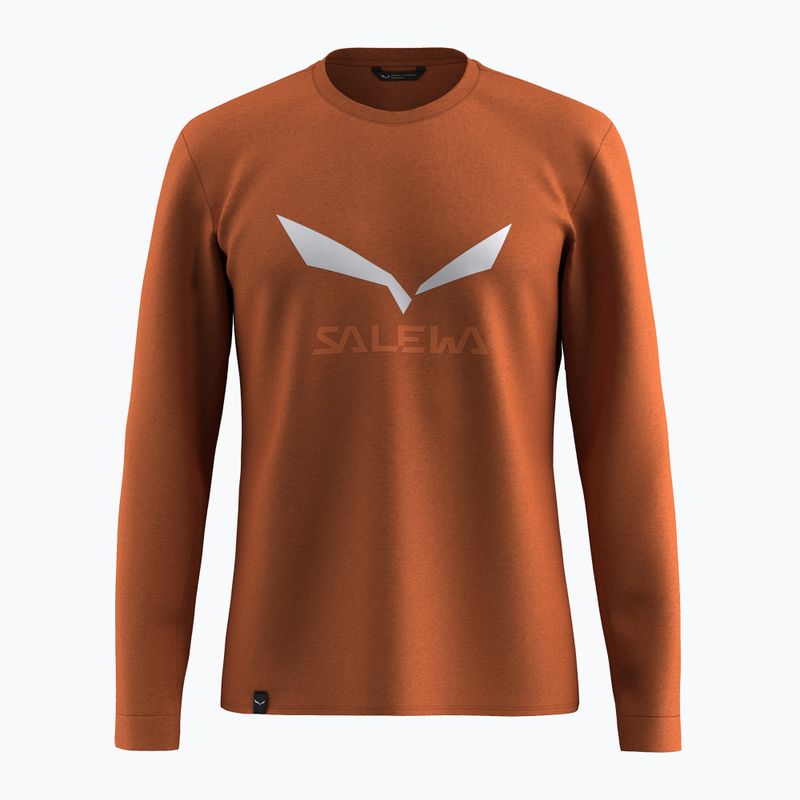 Longsleeve męski Salewa Solidlogo Dry bombay brown