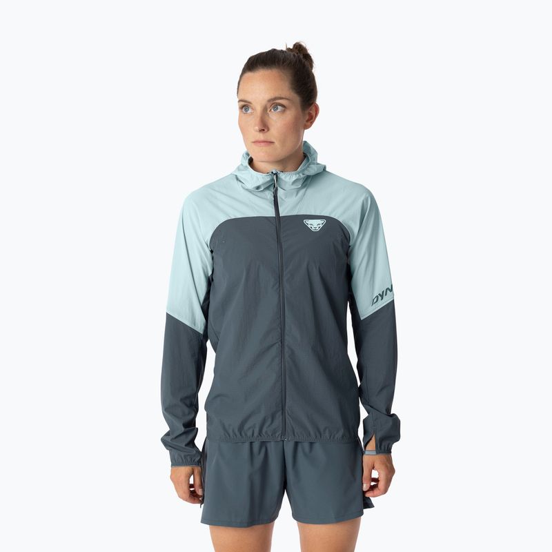 Kurtka do biegania damska DYNAFIT Alpine Wind cloud blue/0720