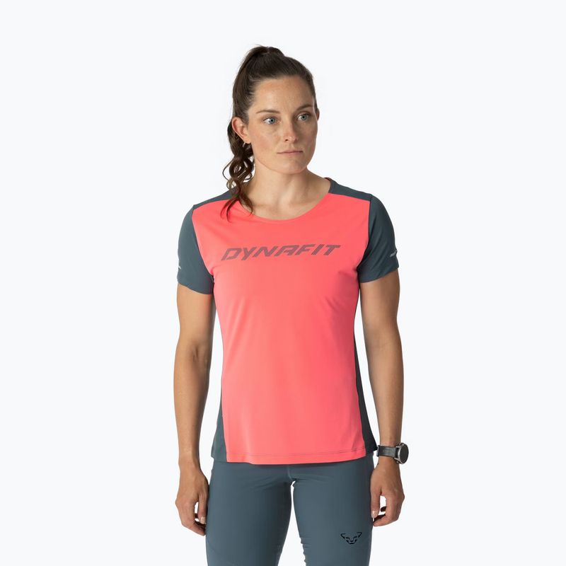 Koszulka do biegania damska DYNAFIT Alpine 2 Tee ultra coral