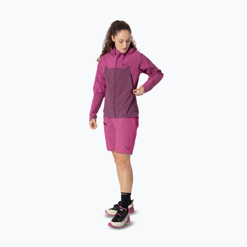 Kurtka softshell damska DYNAFIT Transalper Dynastretch magenta/6a70 2