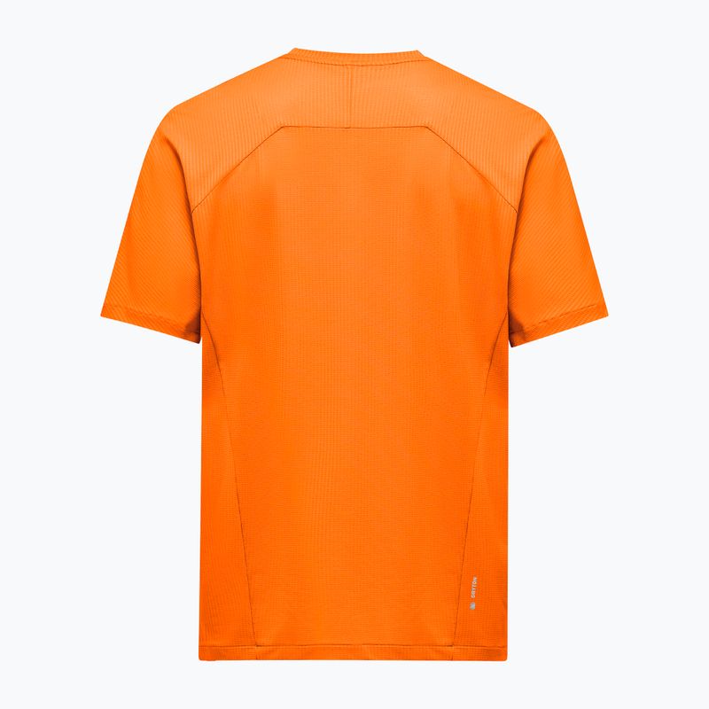 Koszulka męska Salewa Pedroc Dry Light turmeric 2