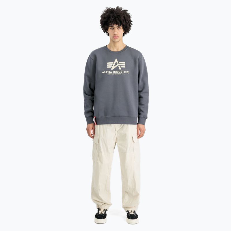 Bluza męska Alpha Industries Basic greyblack 2