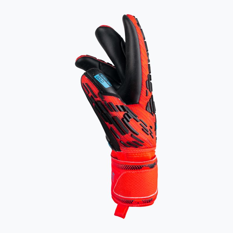 Rękawice bramkarskie Reusch Attrakt Freegel Gold Finger Support bright red/future blue/black 6
