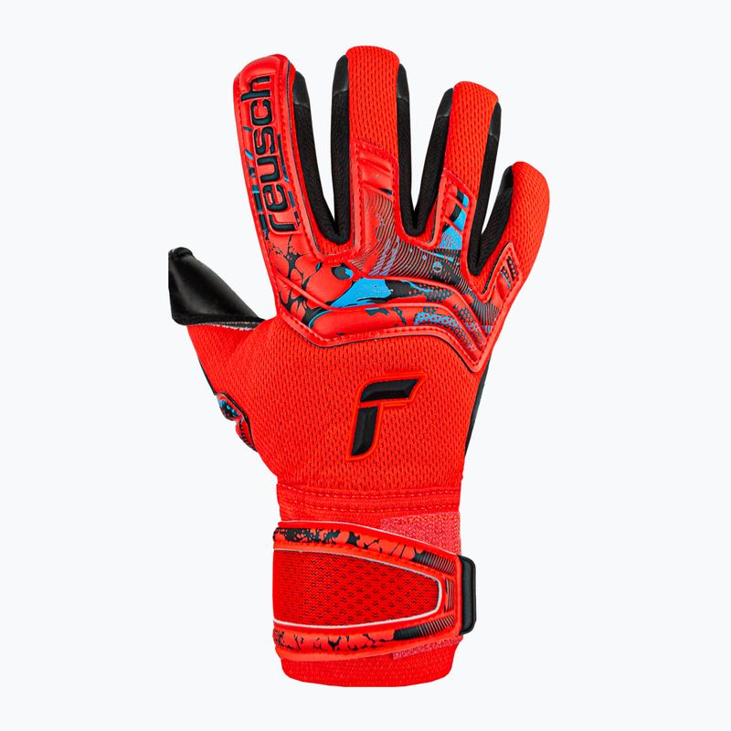 Rękawice bramkarskie Reusch Attrakt Duo bright red/future blue/black 4