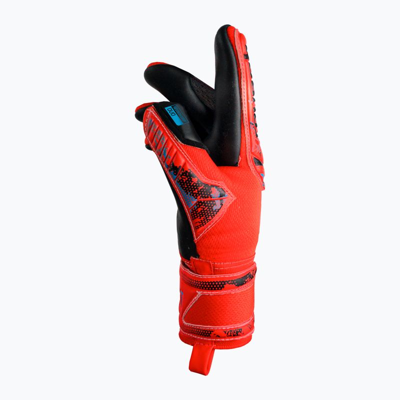 Rękawice bramkarskie Reusch Attrakt Duo bright red/future blue/black 6