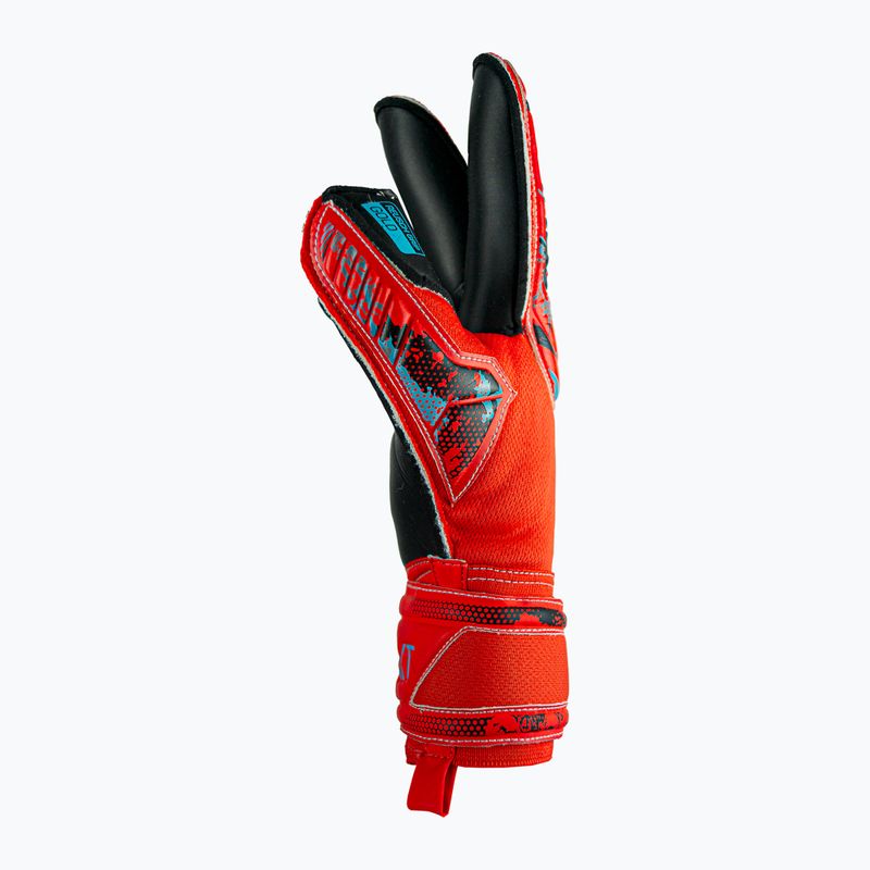 Rękawice bramkarskie Reusch Attrakt Gold Roll Finger bright red/future blue/black 7