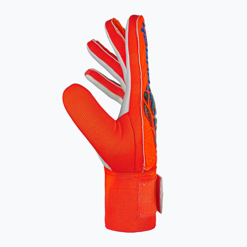 Rękawice bramkarskie Reusch Attrakt Starter Solid bright red/future blue 4