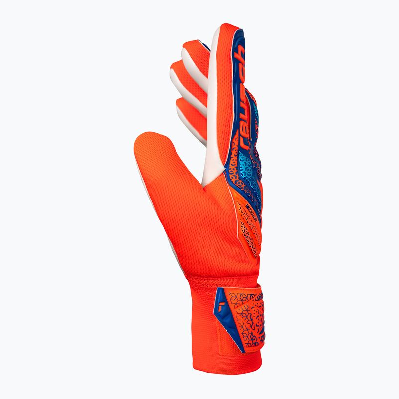 Rękawice bramkarskie Reusch Attrakt Starter Solid shocking orange/blue 4