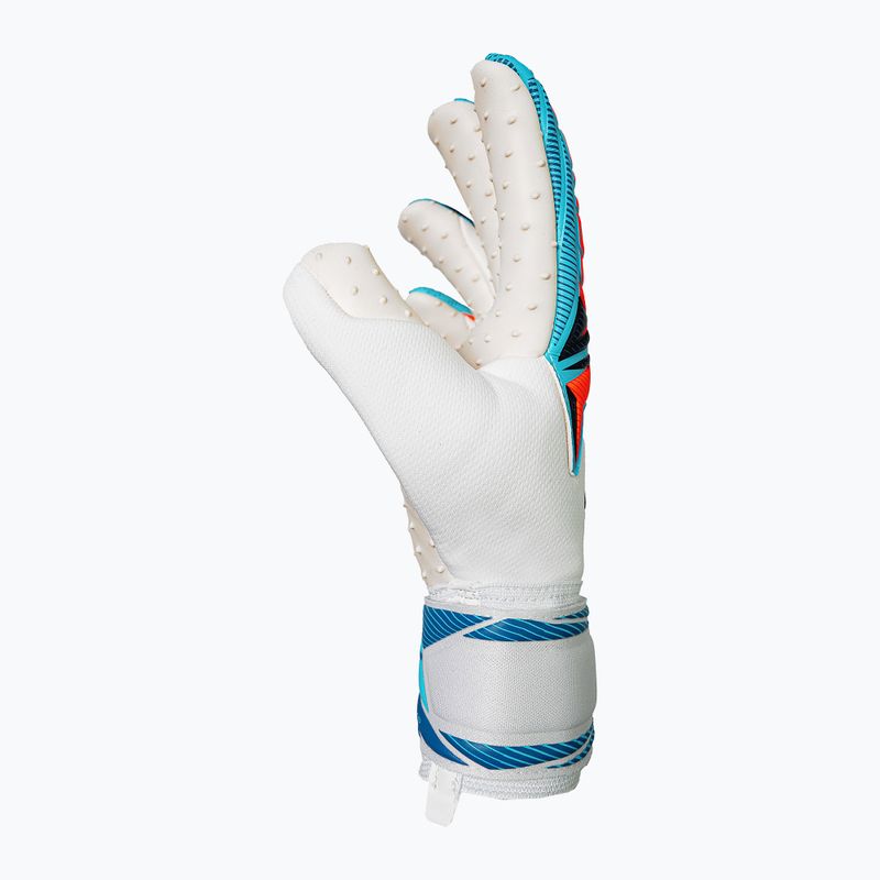 Rękawice bramkarskie Reusch Attrakt SpeedBump white/light blue 4
