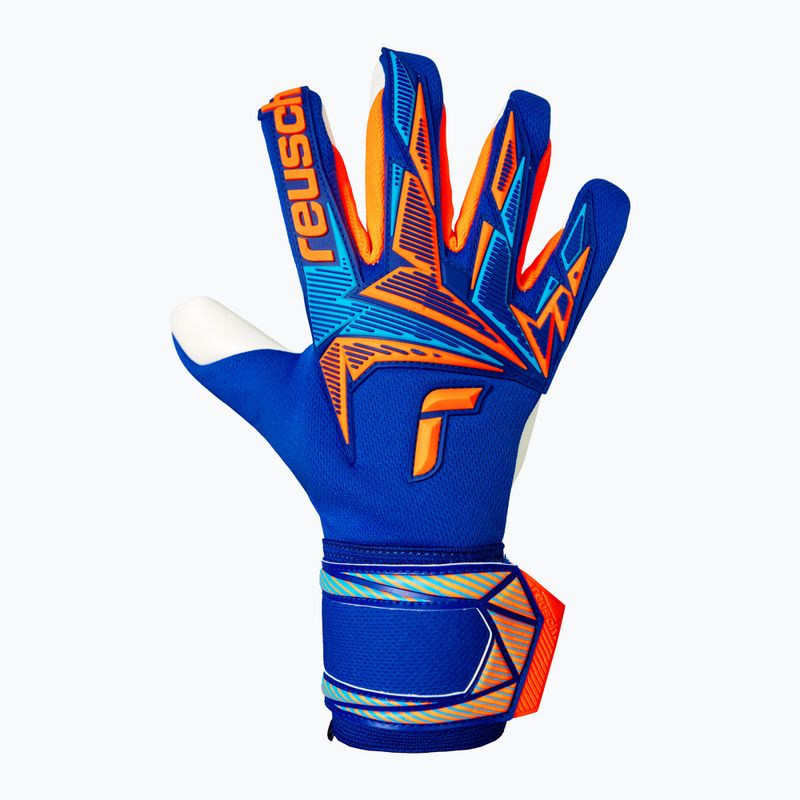 Rękawice bramkarskie Reusch Attrakt Freegel Advance sharp blue/shocking orange 2