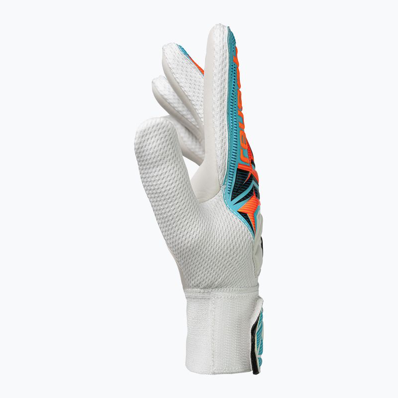 Rękawice bramkarskie dziecięce Reusch Attrakt Starter Solid Junior white/light blue 4