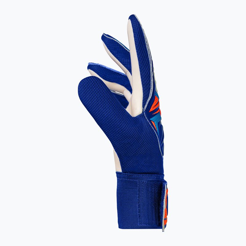 Rękawice bramkarskie dziecięce Reusch Attrakt Starter Solid Junior sharp blue/white/shocking orange 4