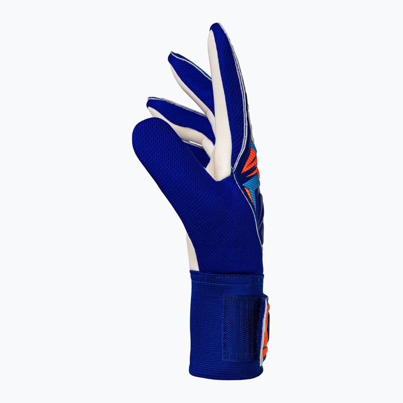 Rękawice bramkarskie Reusch Attrakt Starter Solid sharp blue/white/shocking orange 4
