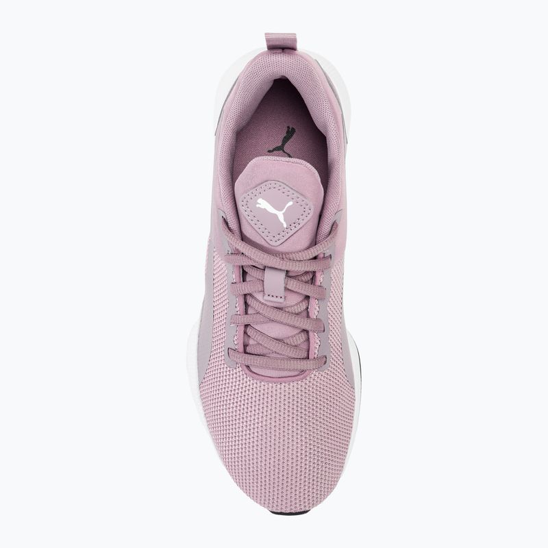 Buty do biegania PUMA Flyer Runner elderberry/puma white 5