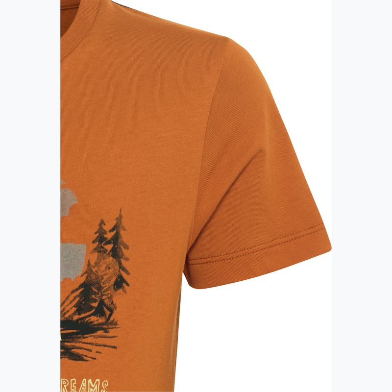 Koszulka dziecięca Jack Wolfskin Graphic Cotton T print soft amber 9