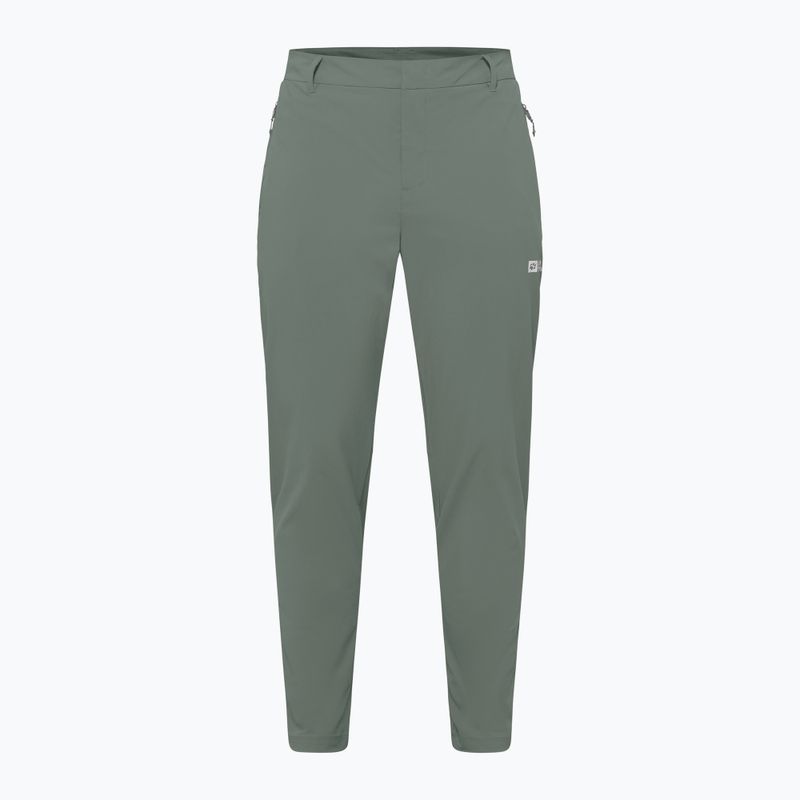 Spodnie trekkingowe męskie Jack Wolfskin Hikeout slate green 7