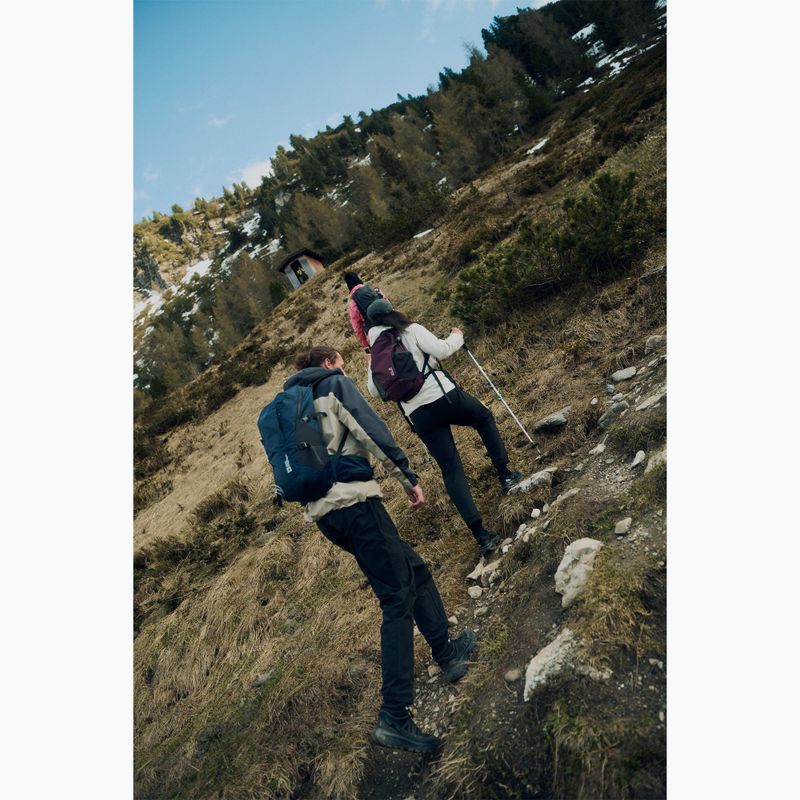 Buty turystyczne męskie Jack Wolfskin Wild Hike Texapore Mid black 10