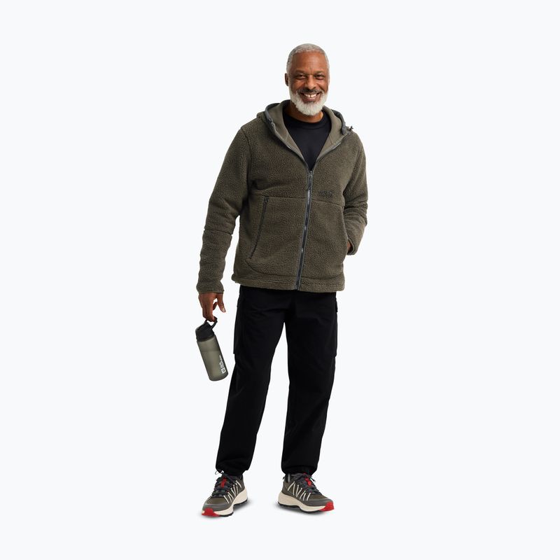 Buty turystyczne męskie Jack Wolfskin Wild Hike Texapore Low obsidian moss 5