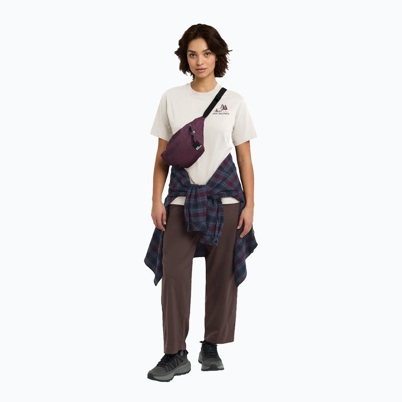 Koszulka damska Jack Wolfskin Cadena tent cotton white 2