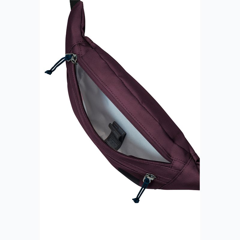 Saszetka nerka Jack Wolfskin Konya Hipbag 2 l amaranth 4