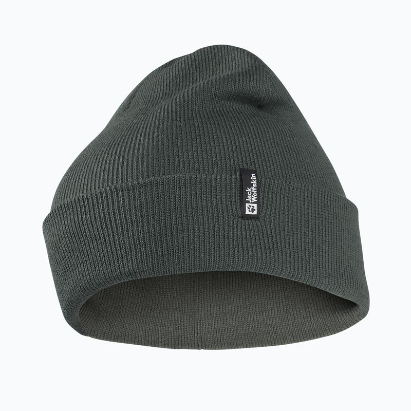 Czapka zimowa Jack Wolfskin Rib slate green
