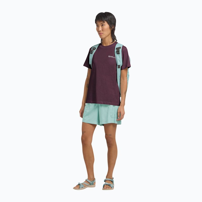 Koszulka damska Jack Wolfskin Essential amaranth 2