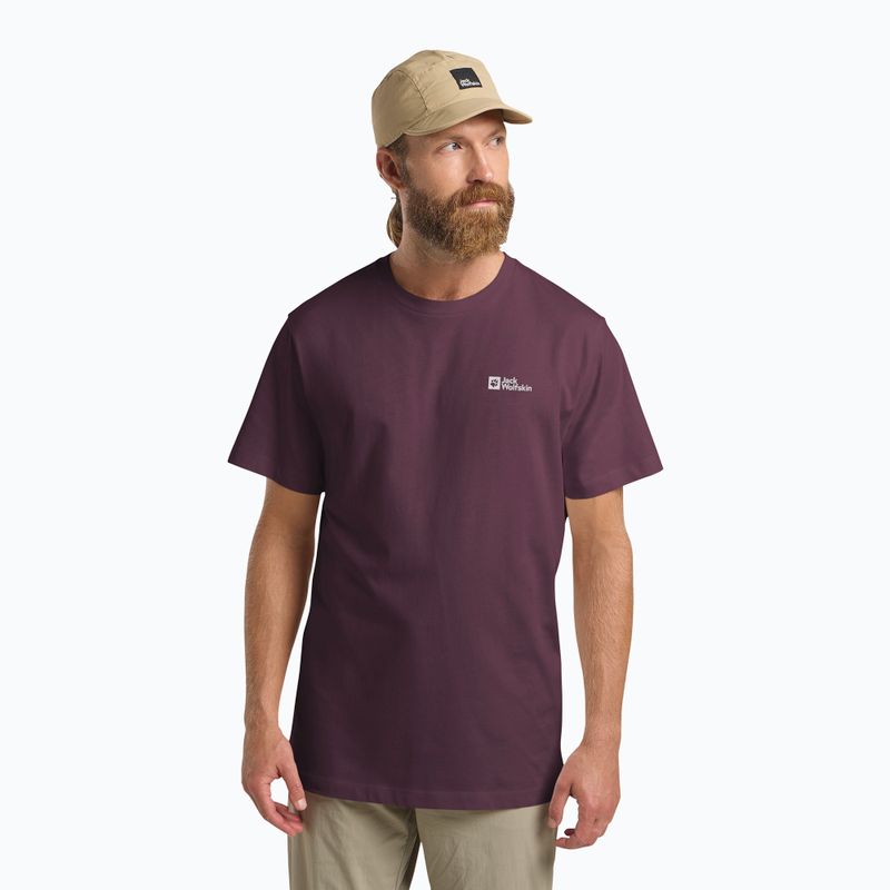 Koszulka męska Jack Wolfskin Essential amaranth