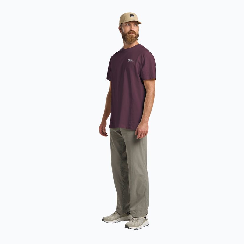 Koszulka męska Jack Wolfskin Essential amaranth 2
