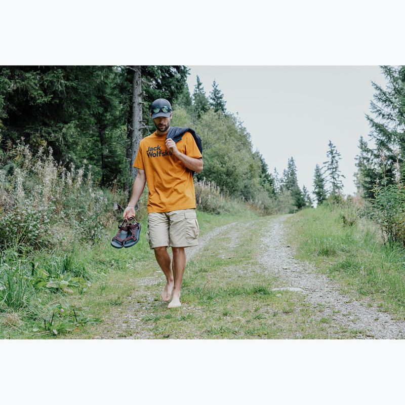 Sandały męskie Jack Wolfskin Taiga dark mahogany 7