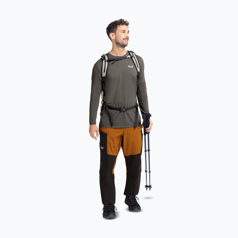 Buty trekkingowe męskie Jack Wolfskin Apex Hike Texapore Low black 7