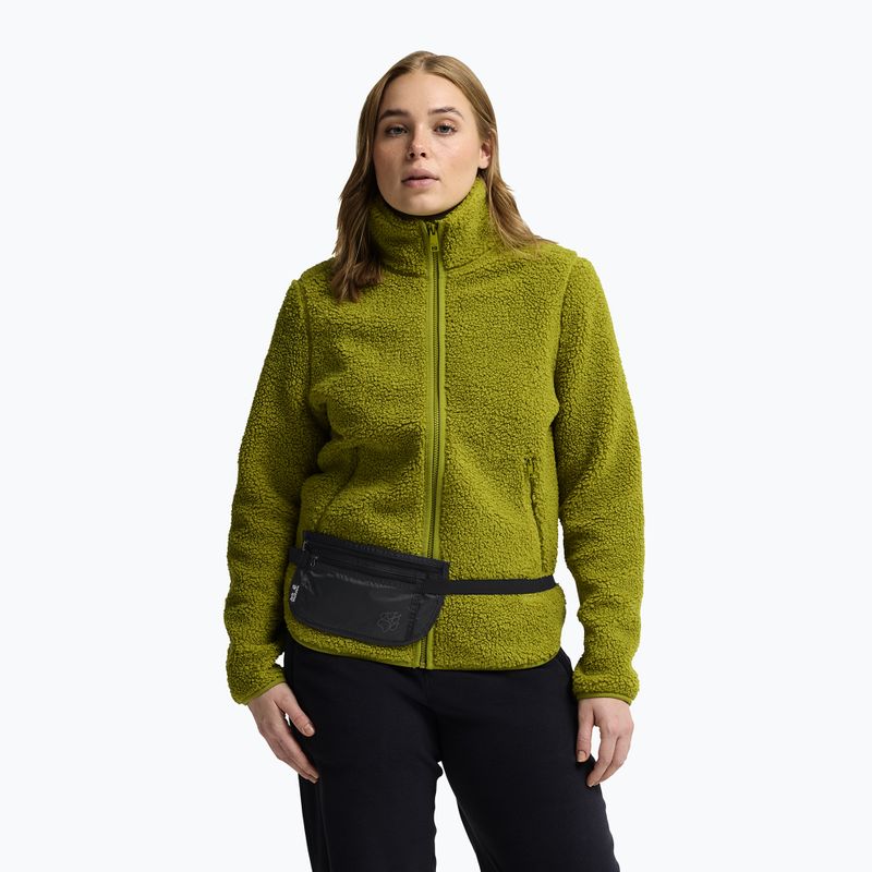 Saszetka nerka Jack Wolfskin Document Belt De Luxe phantom 9