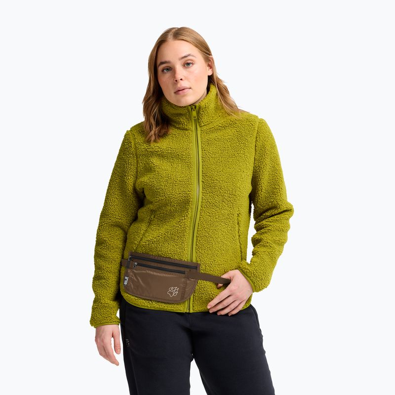 Saszetka nerka Jack Wolfskin Document Belt De Luxe fawn 7