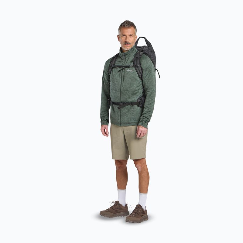 Buty trekkingowe męskie Jack Wolfskin Terraquest Texapore Low gecko bear 8